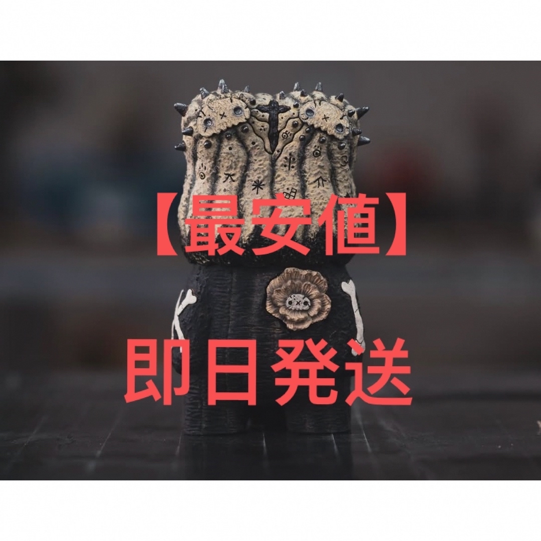 羅本製所 Copiapoa Twin Star 抽選限定品 新品未開封 | Shop at Rakuma